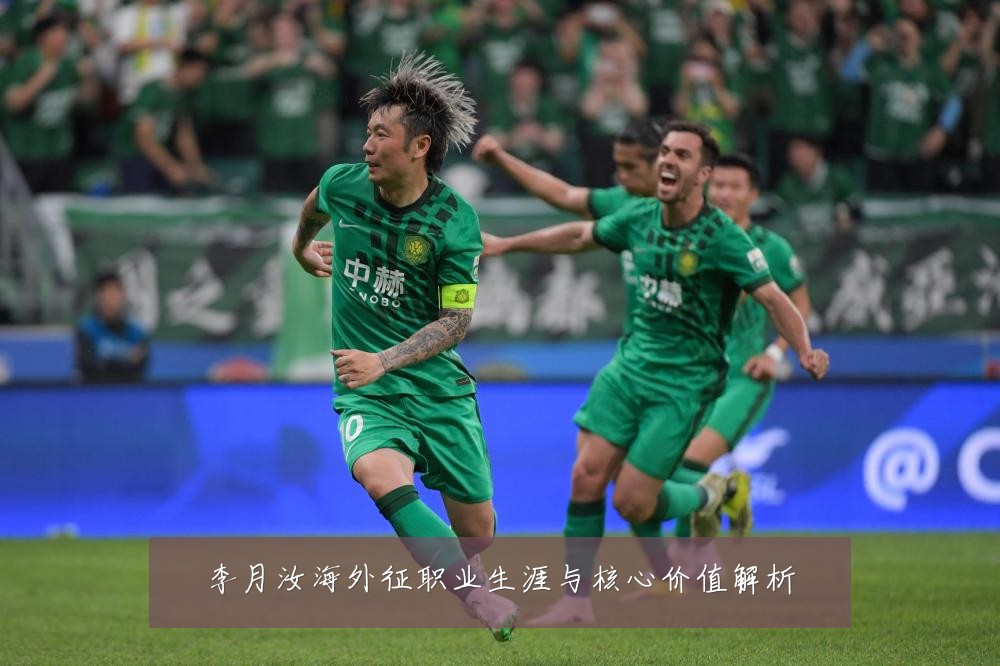 李月汝海外征职业生涯与核心价值解析