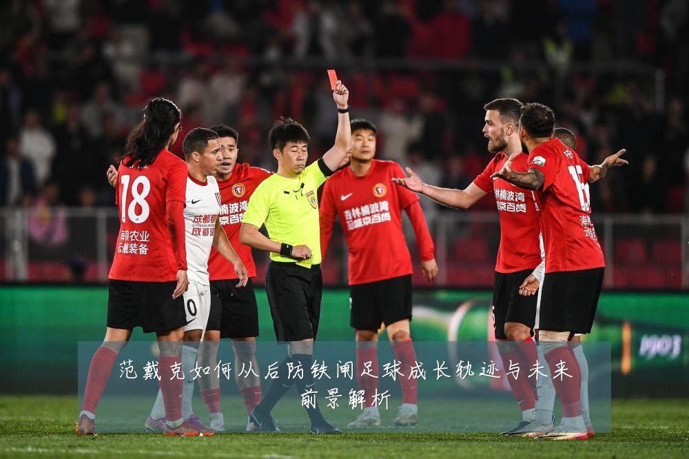 范戴克如何从后防铁闸足球成长轨迹与未来前景解析